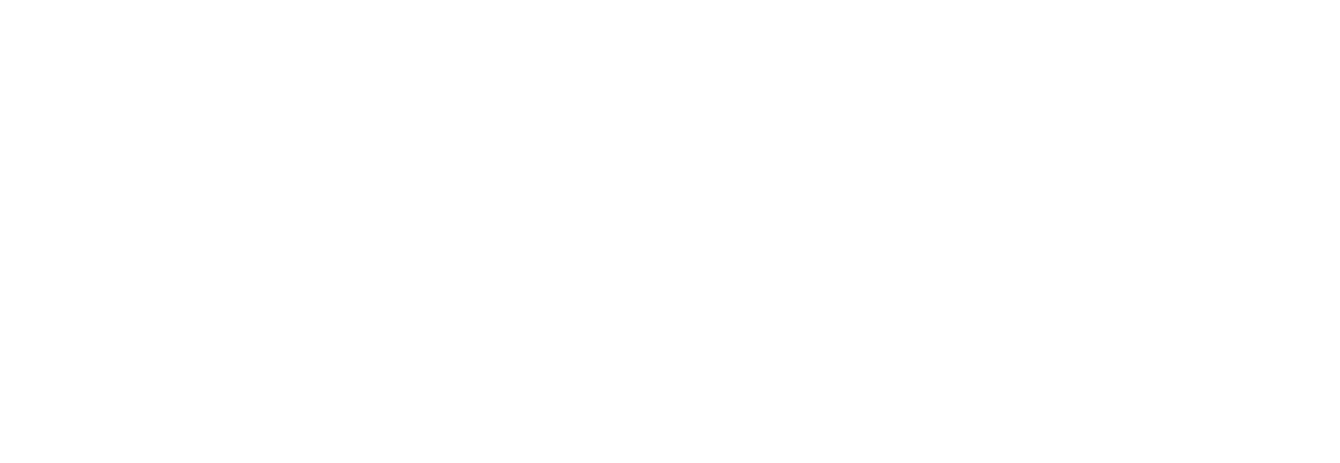 Porsche Inter Auto